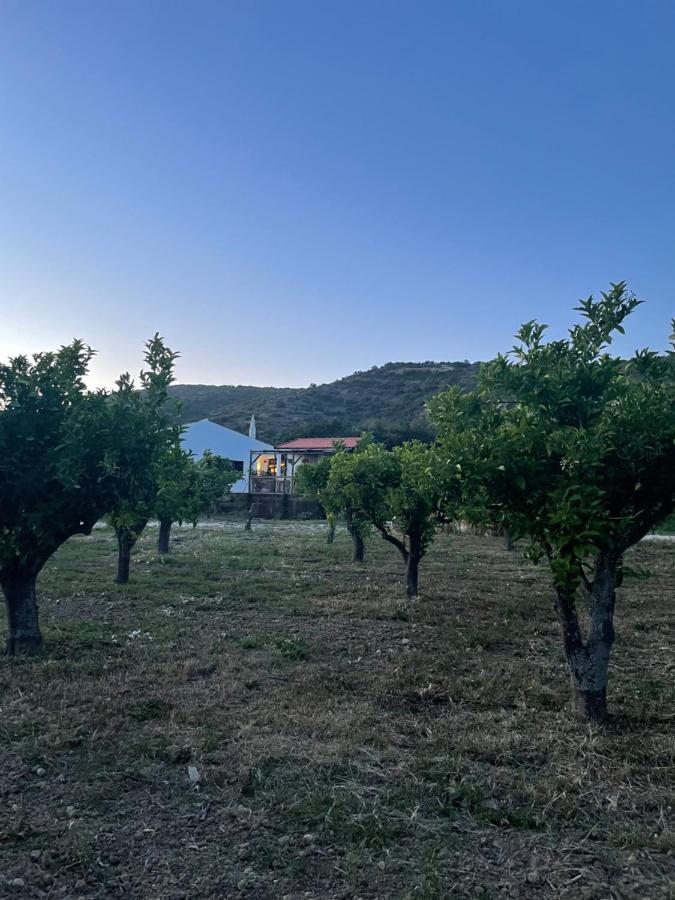 אסטוי Quinta Da Boa Sorte מראה חיצוני תמונה